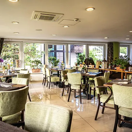 Premium Business فندق