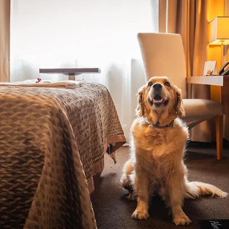 Szálloda Premium Business 4*