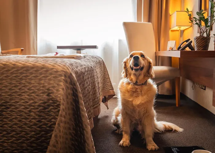 Szálloda Premium Business 4*