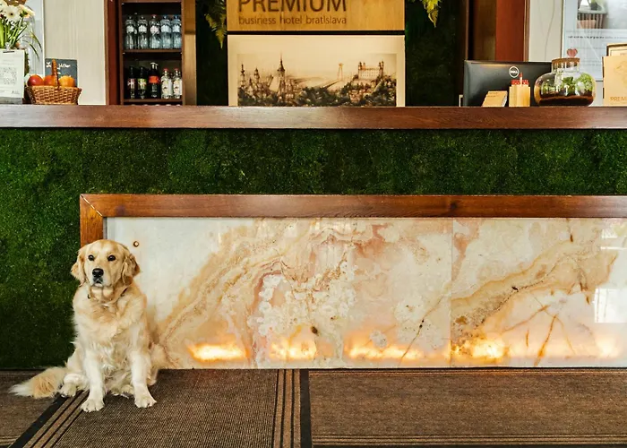 Hotel Premium Business 4*